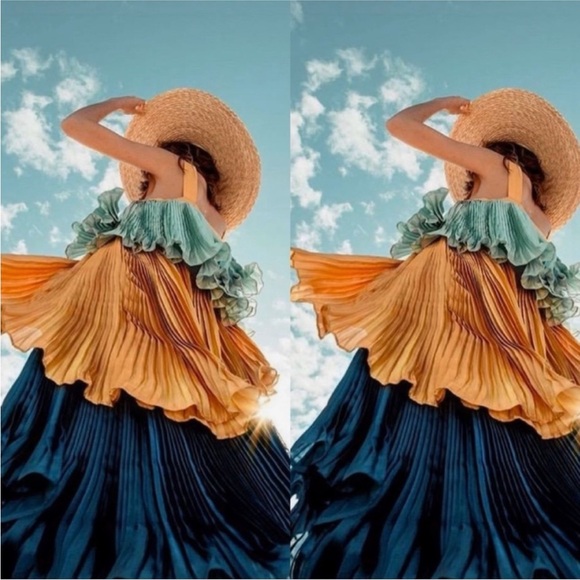 Anthropologie Dresses & Skirts - Anthropologie Guapa Pleated Midi Dress